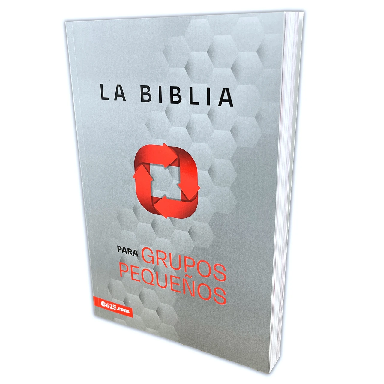 BIBLIA E625 PARA GRUPOS PEQUEÑOS - Image 7