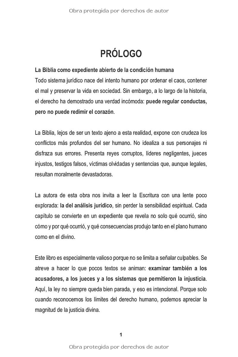LA LEY EL CRIMEN Y LA GRACIA- MAYBEL SOLANO - Image 11