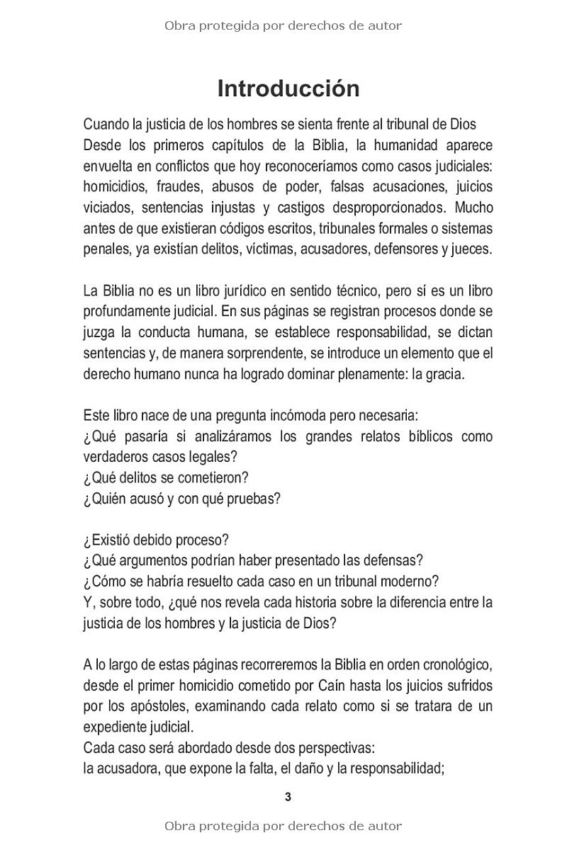 LA LEY EL CRIMEN Y LA GRACIA- MAYBEL SOLANO - Image 9
