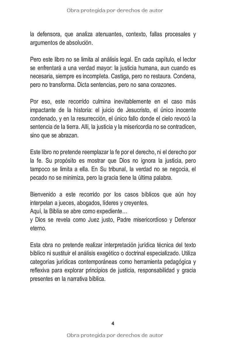 LA LEY EL CRIMEN Y LA GRACIA- MAYBEL SOLANO - Image 8