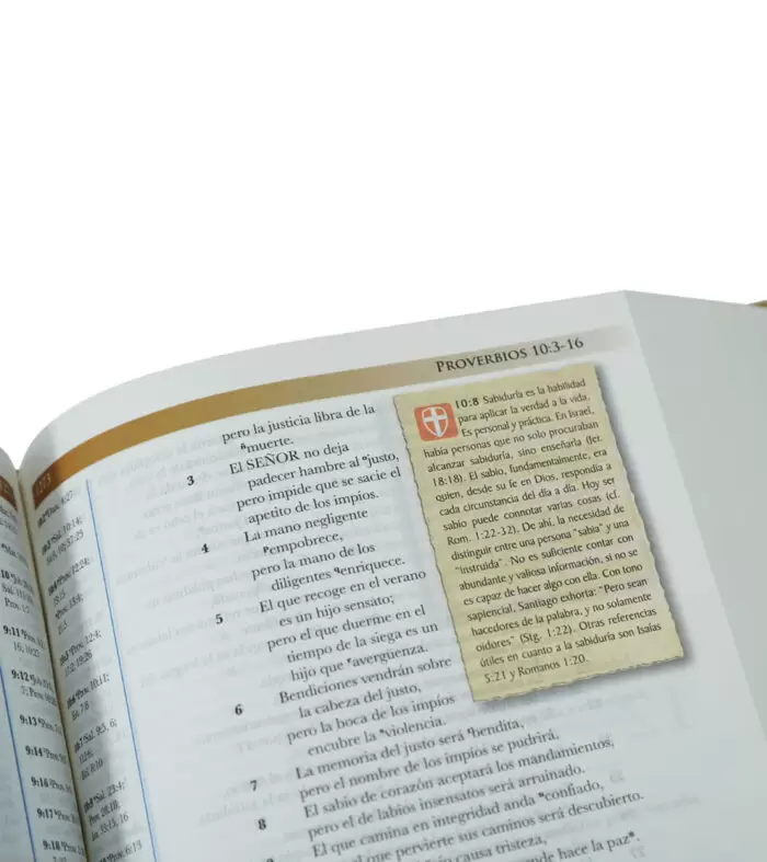 BIBLIA DE ESTUDIO MUNDO HISPANO PASTA DURA - Image 4