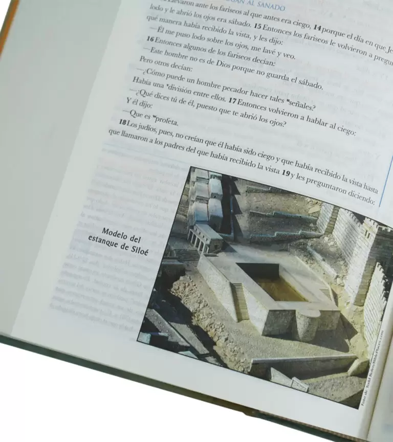 BIBLIA DE ESTUDIO MUNDO HISPANO PASTA DURA - Image 3