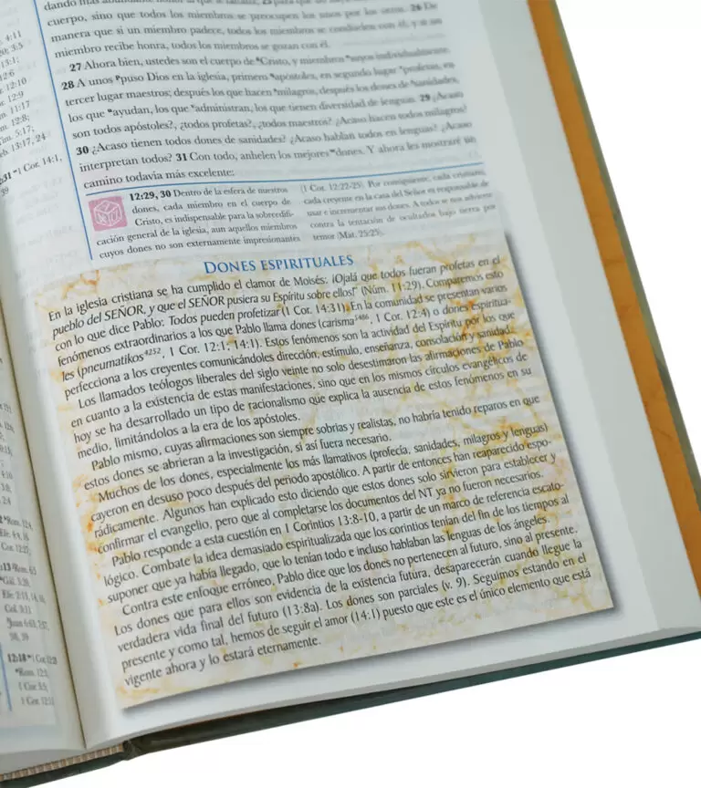 BIBLIA DE ESTUDIO MUNDO HISPANO PASTA DURA - Image 2