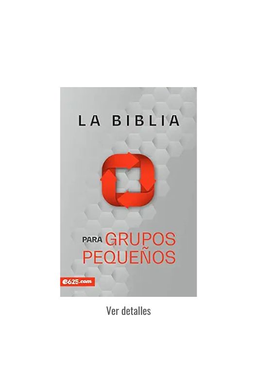 BIBLIA E625 PARA GRUPOS PEQUEÑOS