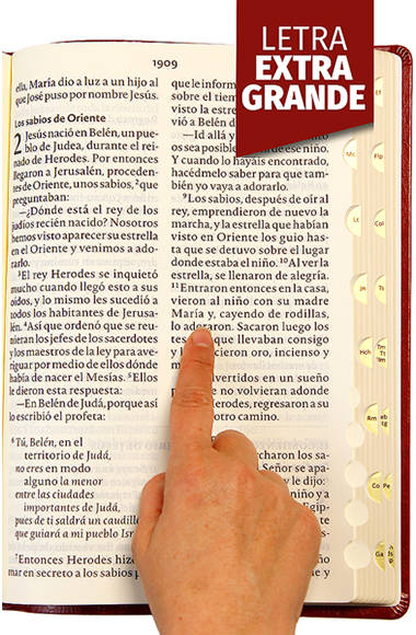 BIBLIA CATOLICA LETRA EXTRAGIGANTE TD - Image 4