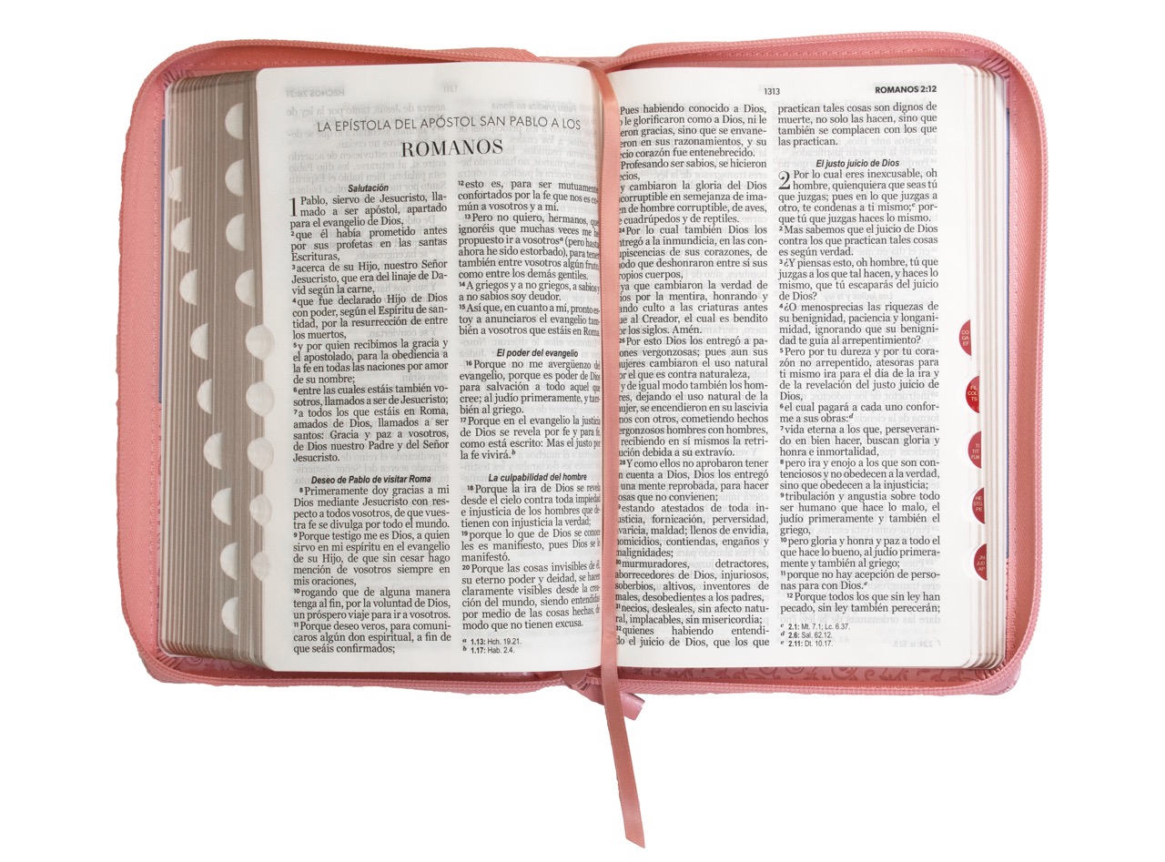 BIBLIA RV1960 LETRA GRANDE ROSA CON CIERRE - Image 6