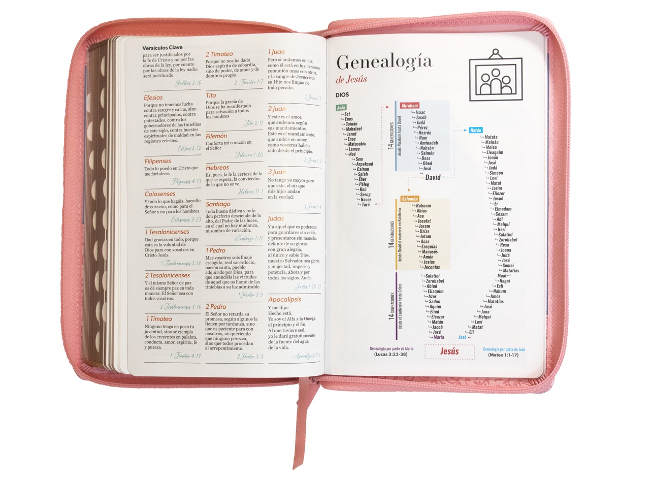 BIBLIA RV1960 LETRA GRANDE ROSA CON CIERRE - Image 5