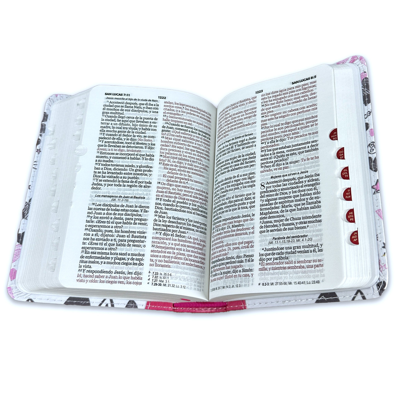 BIBLIA RV1960 PALABRAS DE VIDA - Image 6