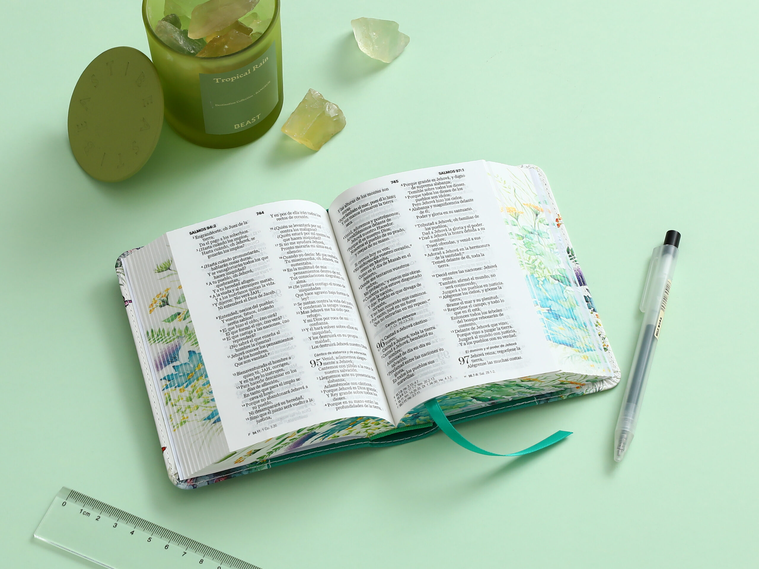 BIBLIA RV1960 RENOVACION VERDE - Image 8