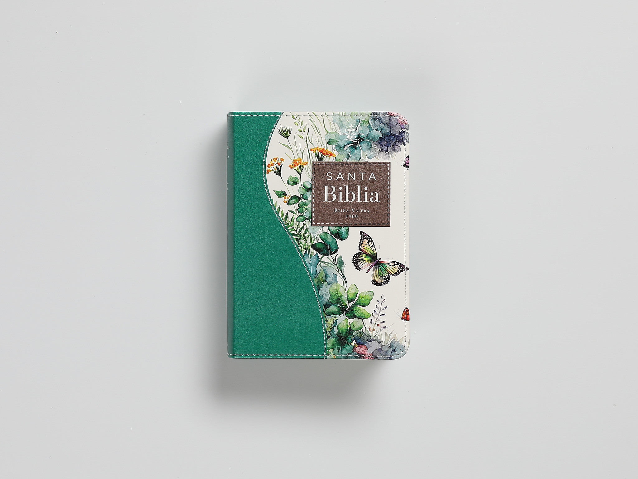 BIBLIA RV1960 RENOVACION VERDE - Image 7