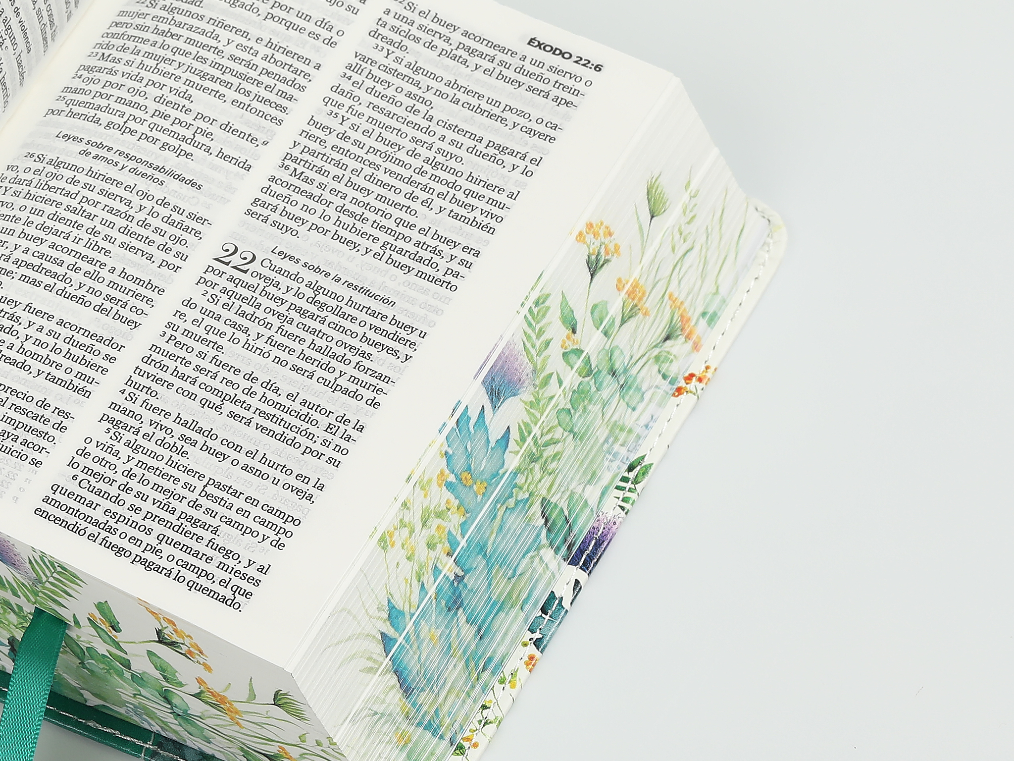 BIBLIA RV1960 RENOVACION VERDE - Image 6