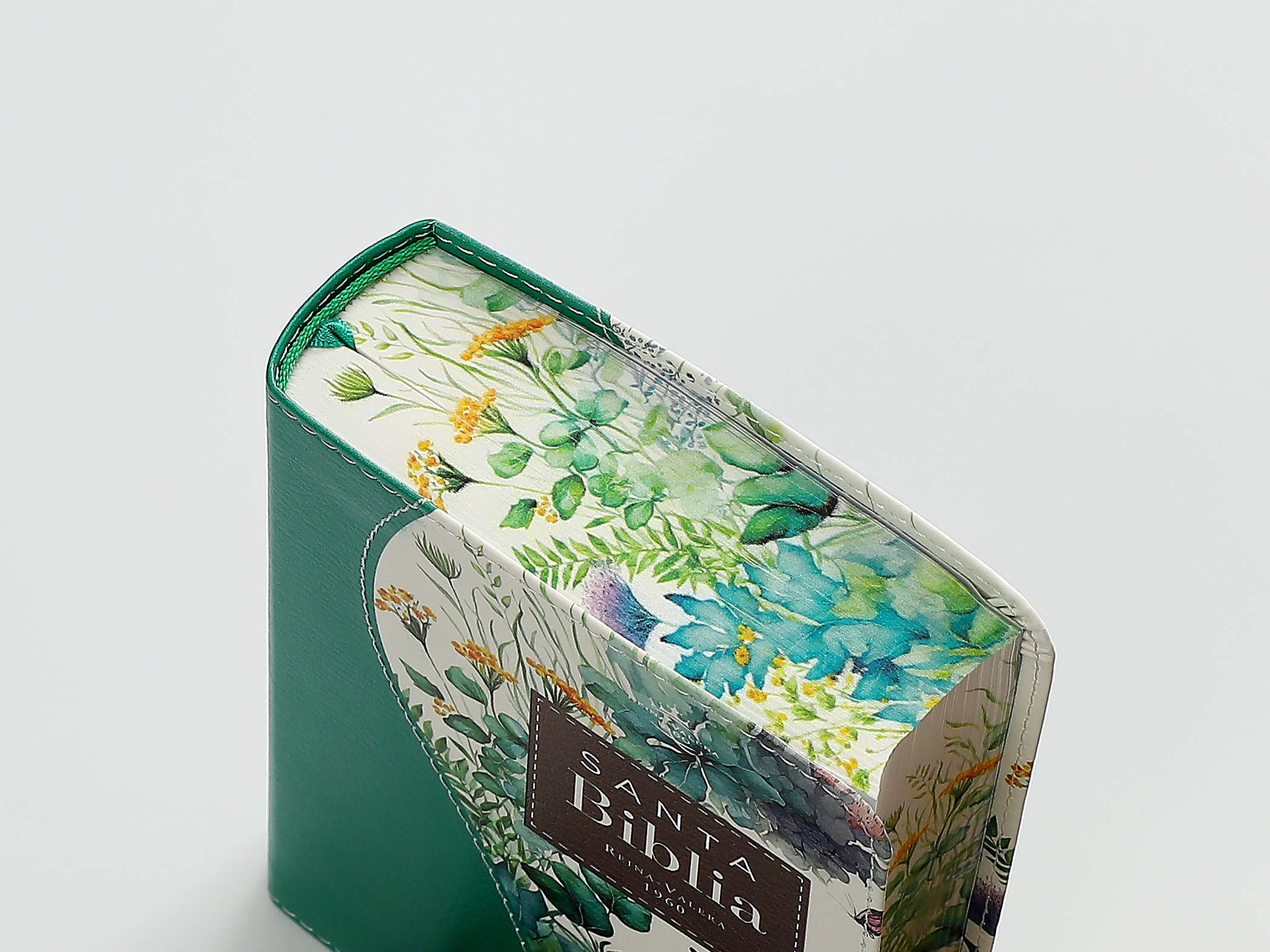 BIBLIA RV1960 RENOVACION VERDE - Image 5