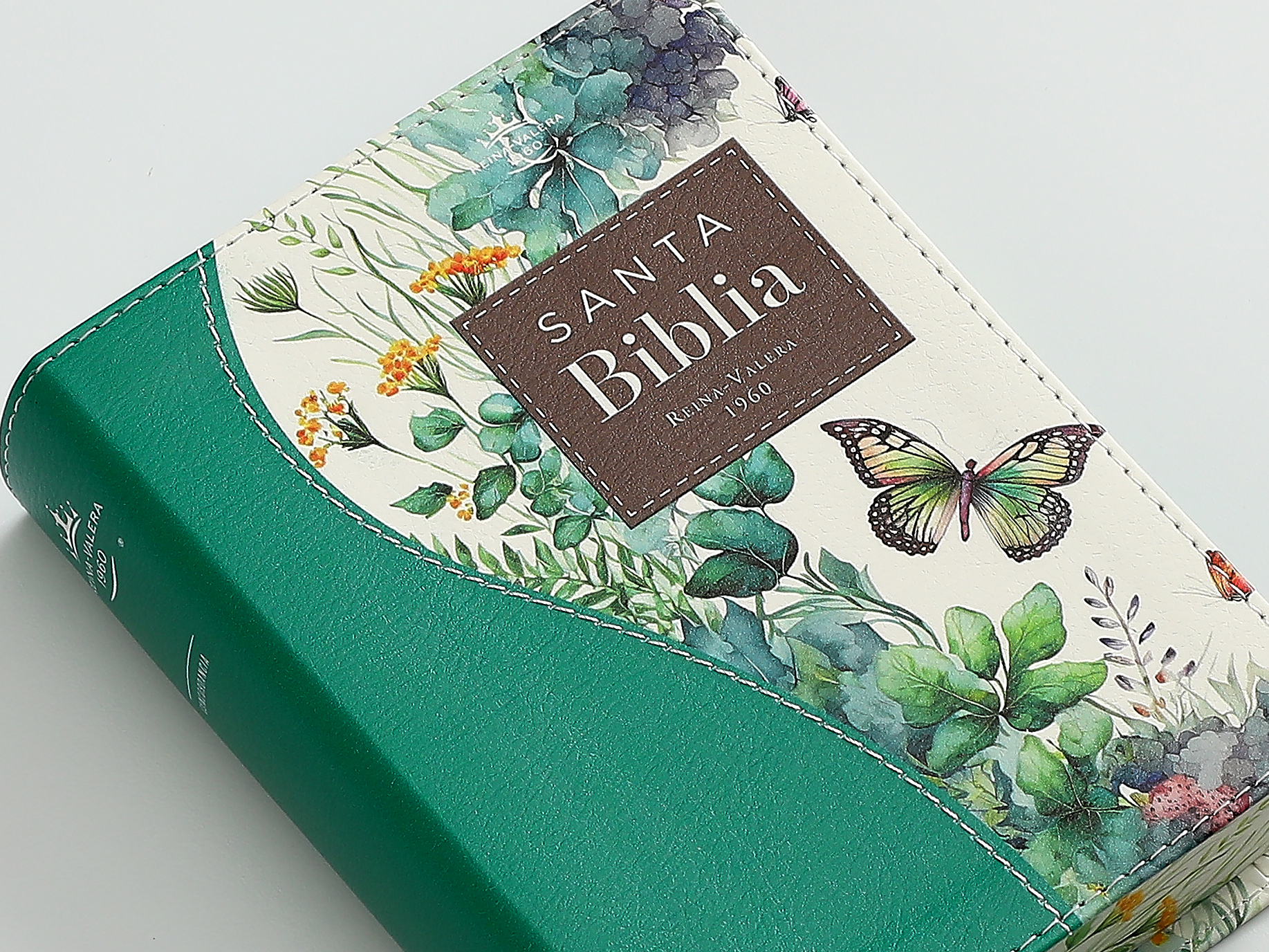 BIBLIA RV1960 RENOVACION VERDE - Image 4
