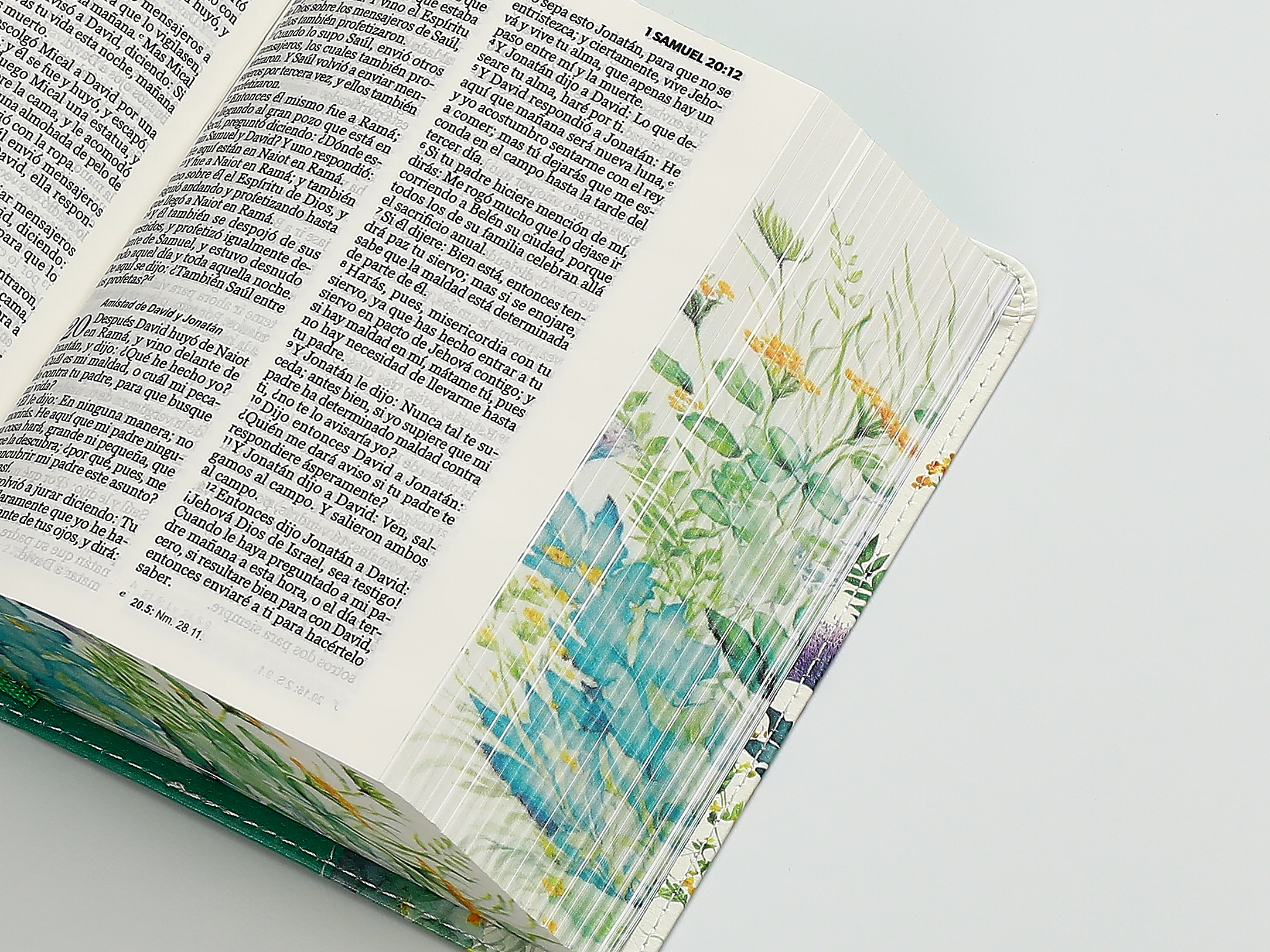 BIBLIA RV1960 RENOVACION VERDE - Image 3