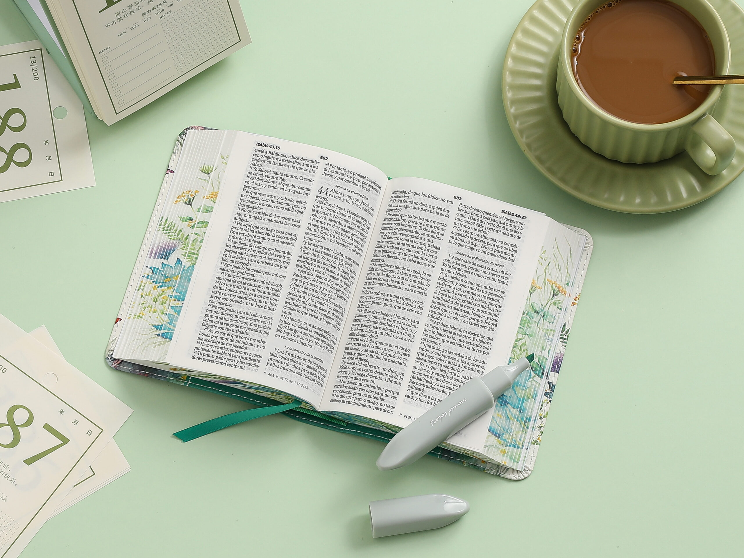 BIBLIA RV1960 RENOVACION VERDE - Image 2