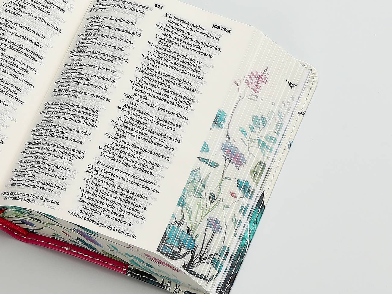 BIBLIA RV1960 RENOVACION FUCSIA - Image 2