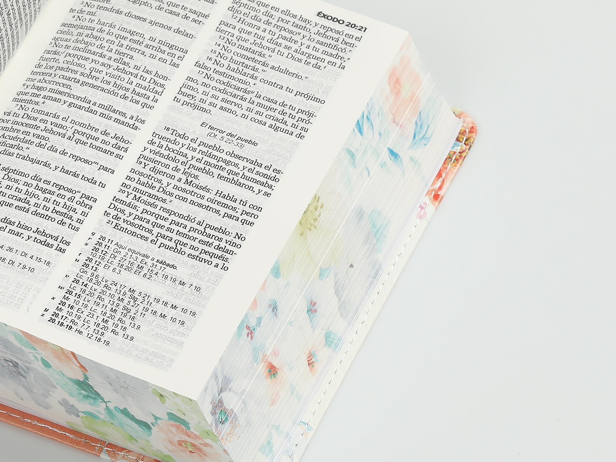 BIBLIA RV1960 RENOVACION CORAL - Image 4