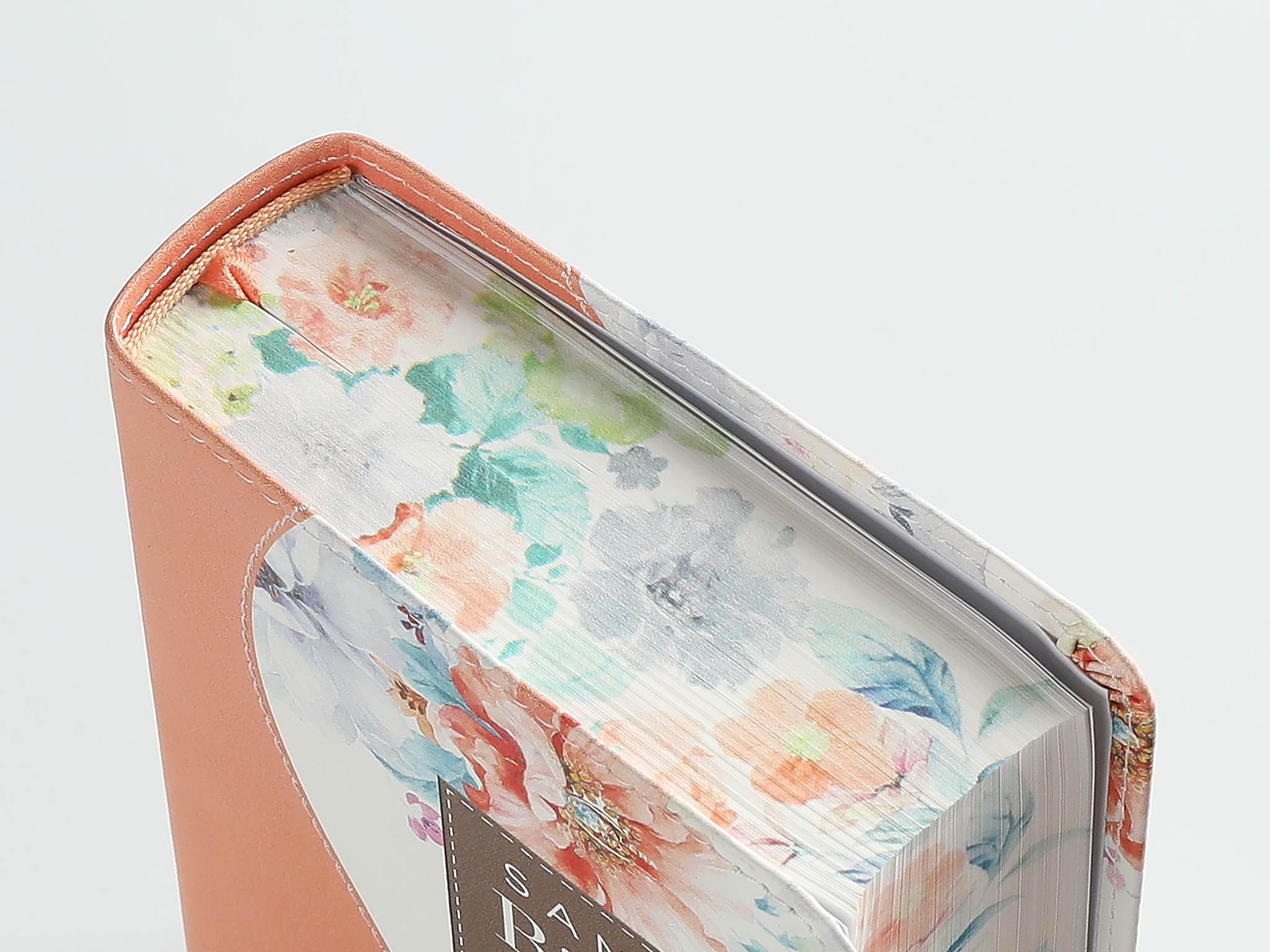 BIBLIA RV1960 RENOVACION CORAL - Image 3