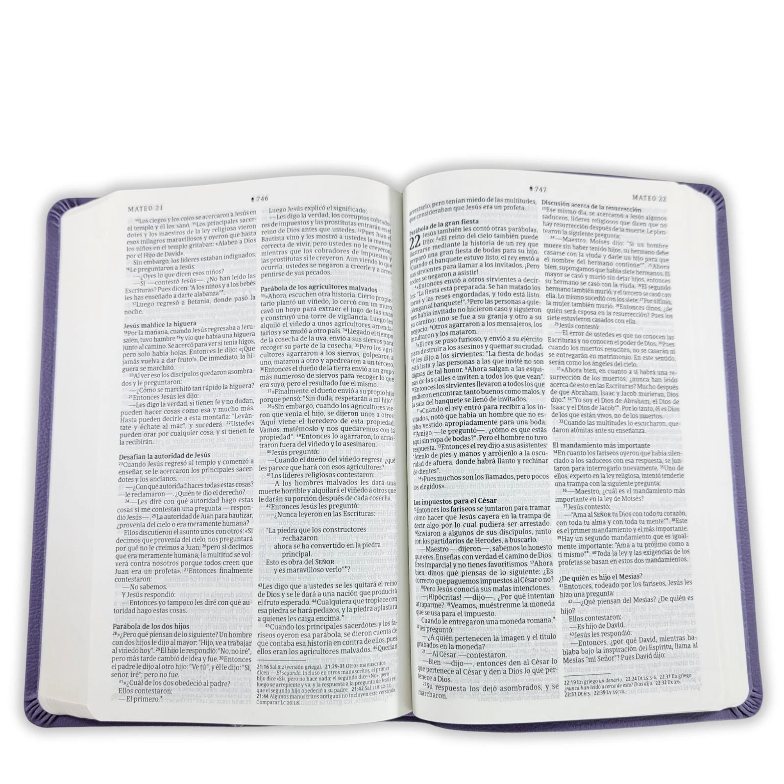 BIBLIA NTV ULTRA FINA 8 PTS - Image 4