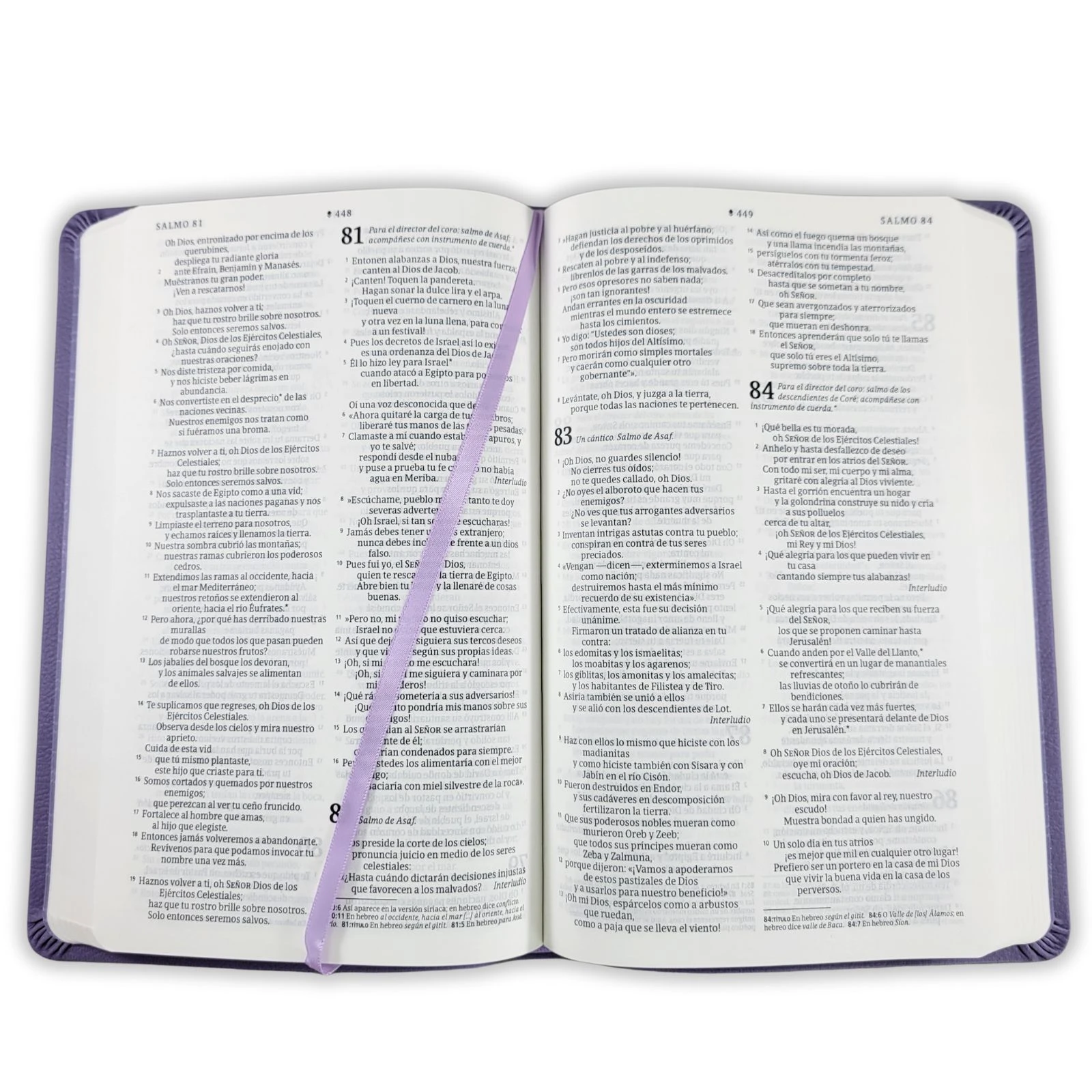 BIBLIA NTV ULTRA FINA 8 PTS - Image 3