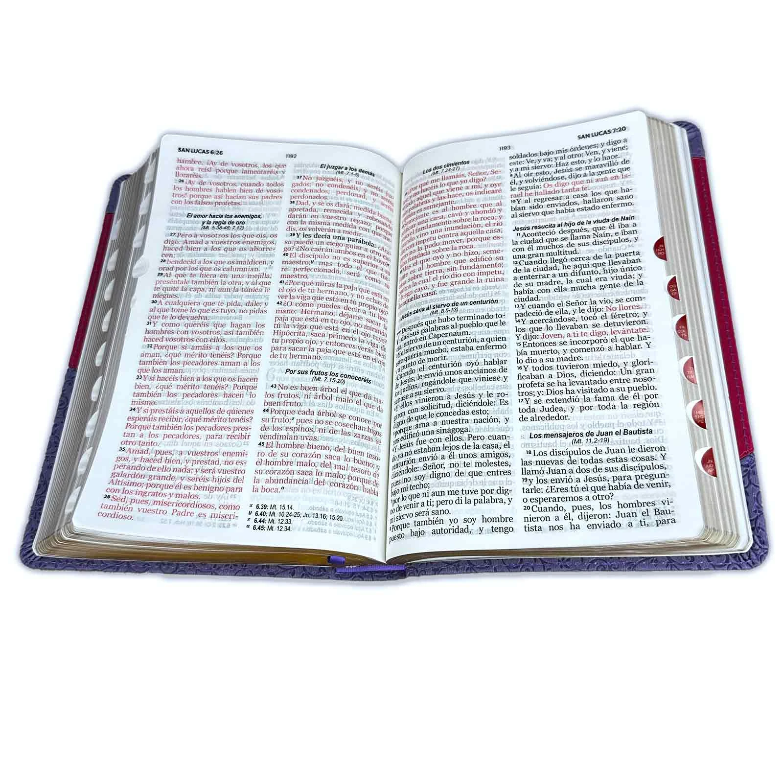 BIBLIA RV1960 LETRA GRANDE CON INDICE - Image 4
