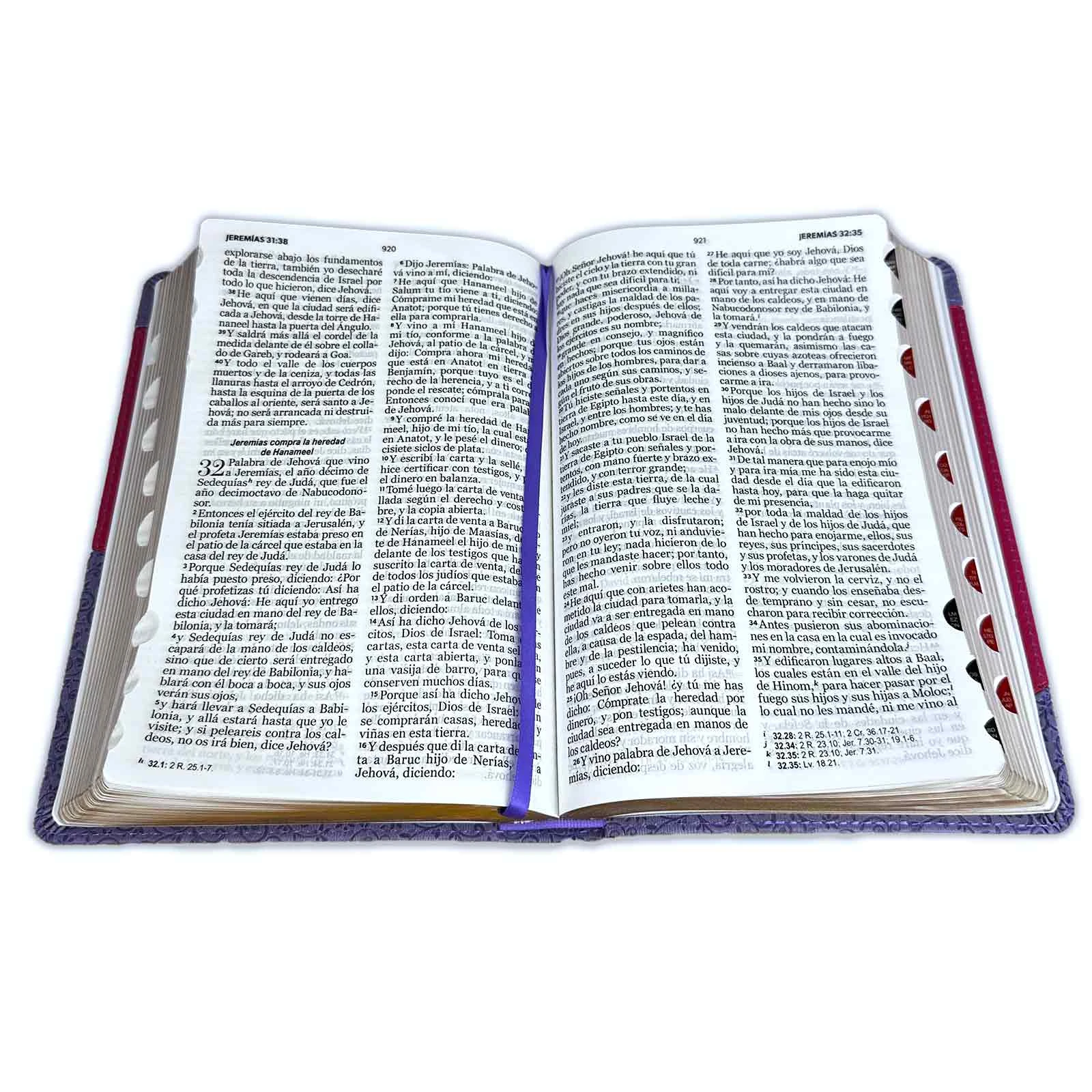 BIBLIA RV1960 LETRA GRANDE CON INDICE - Image 3