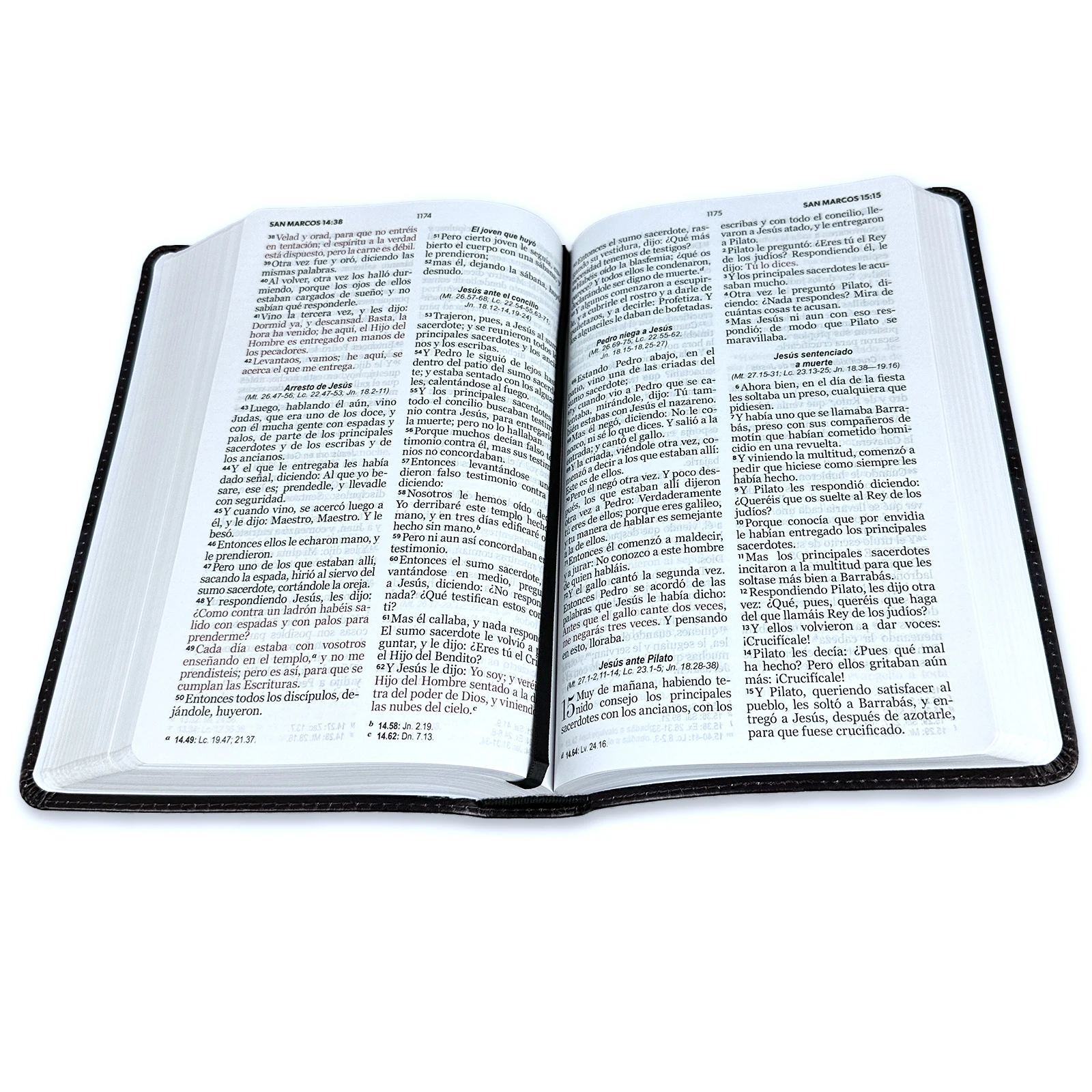 BIBLIA RV1960 LETRA GRANDE DISEÑO LEON - Image 4