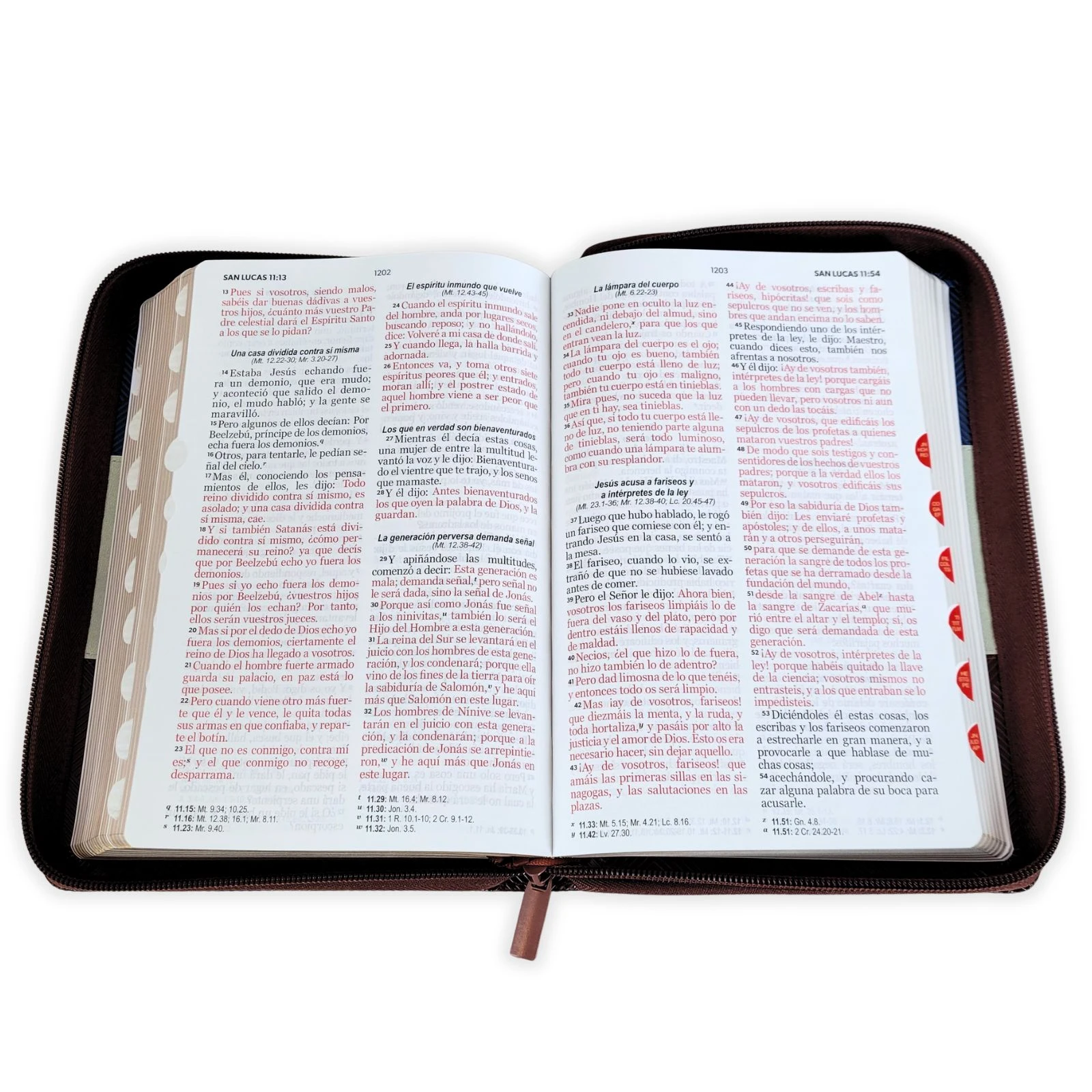 BIBLIA RV1960 LETRA GRANDE CON ZIPER - Image 5