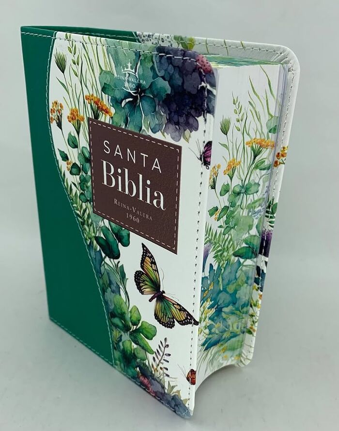 BIBLIA RV1960 RENOVACION VERDE - Image 10