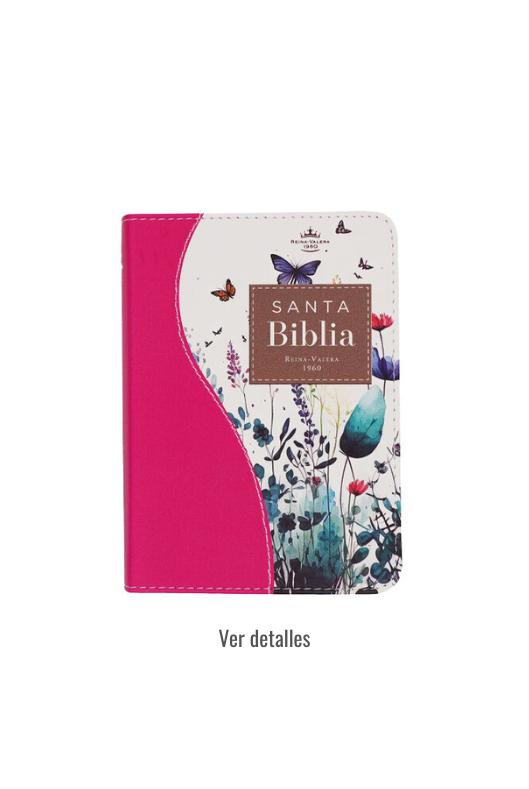BIBLIA RV1960 RENOVACION FUCSIA