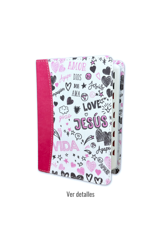 BIBLIA RV1960 PALABRAS DE VIDA