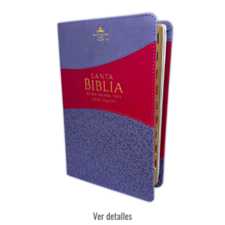 BIBLIA RV1960 LETRA GRANDE CON INDICE