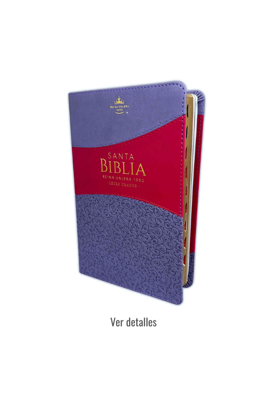 BIBLIA RV1960 LETRA GRANDE CON INDICE