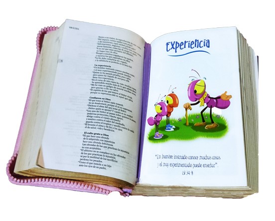 BIBLIA CATOLICA HISTORIA DE AMOR CON CIERRE - Image 5
