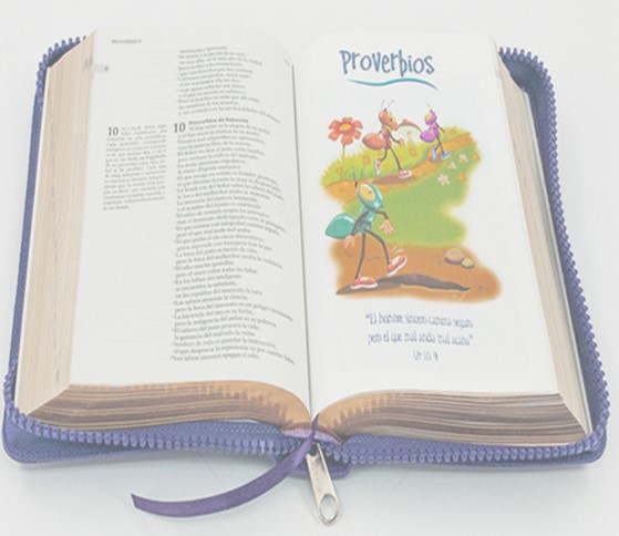 BIBLIA CATOLICA HISTORIA DE AMOR CON CIERRE - Image 4